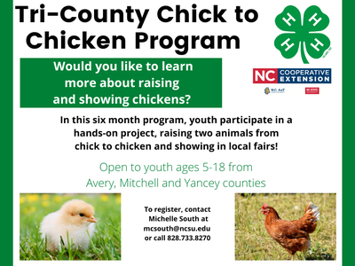 4-H Program Information