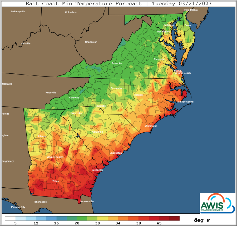East Coast Min Temperature Forecast, Sunday 03/21/2023