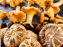 chanterelle and shiitake mushroom