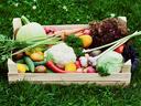 Vegetables in crate