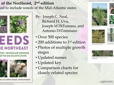 Weeds of the Northeast, 2nd edition book cover with feature bullets and plant photos