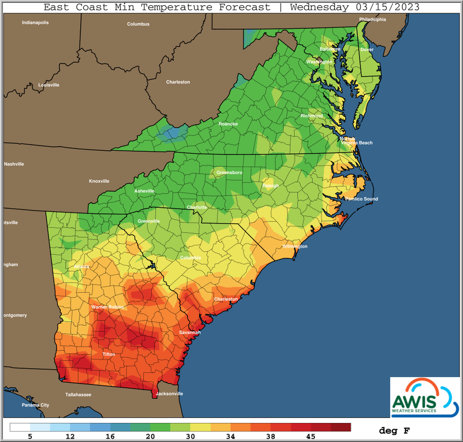 East Coast Min Temperature Forecast. Wednesday 03.15.2023