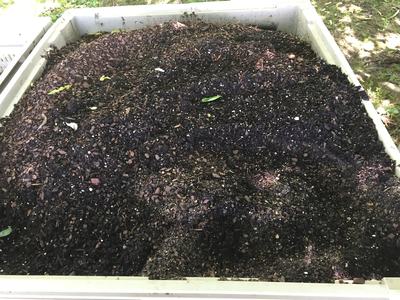 compost