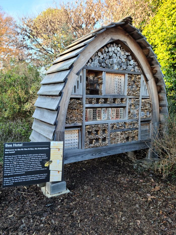 Bee Hotel