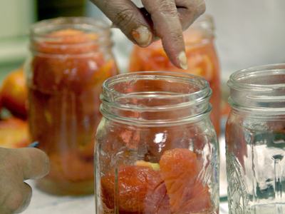 Hand placing peeled tomatoes into glass mason jar for canning