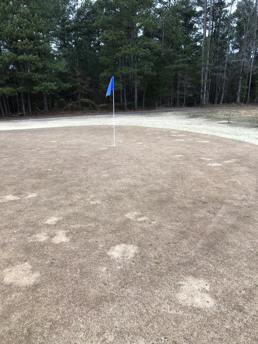 Blue flag on a golf hole pin on a brown, patchy putting green with trees behind