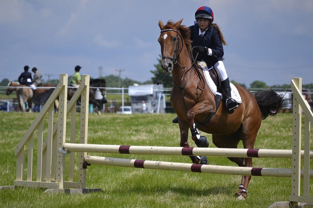 Horse Jumping