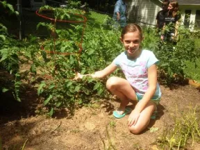 garden
