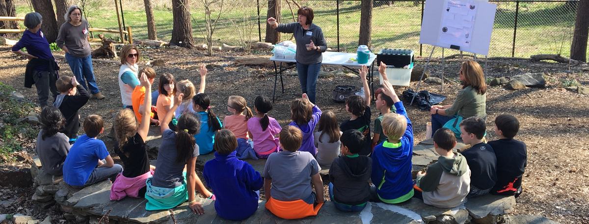 Third graders gather in the garden for a plant lesson.