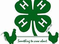 4-H Chicken