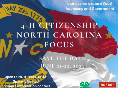 North Carolina Flag blowing in wind