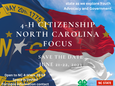 North Carolina Flag blowing in wind