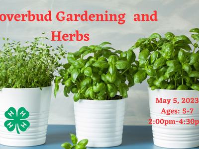 image of potted herbs and 4-H clover