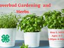 image of potted herbs and 4-H clover