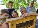 Woman showing children an observation beehive filled with bees