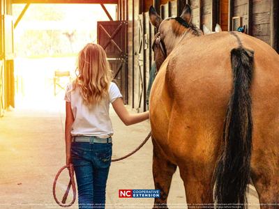 Girl walking down barn aisle leading a brown horse by a rope