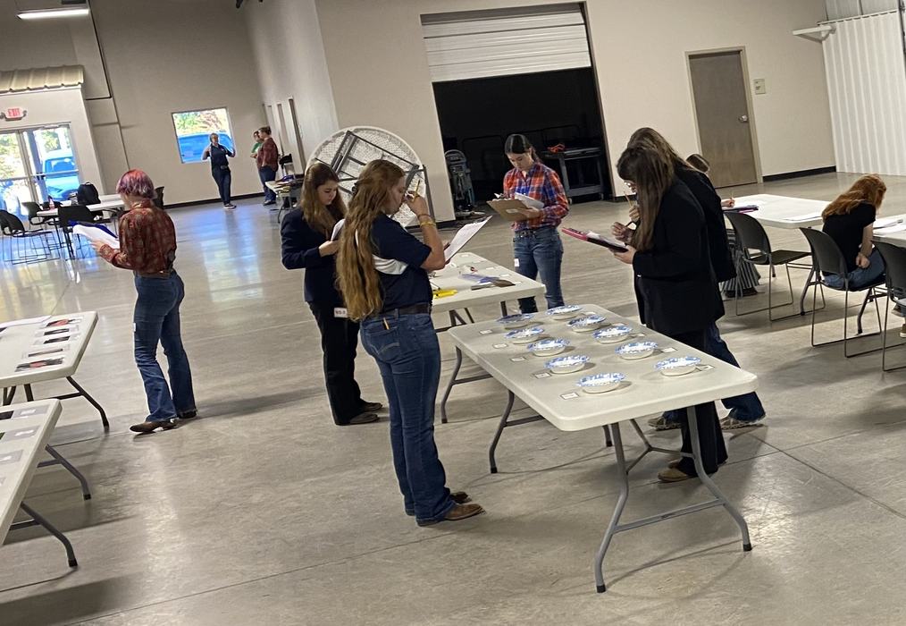 Several people standing at folding tables, inspecting papers and labeled paper plates