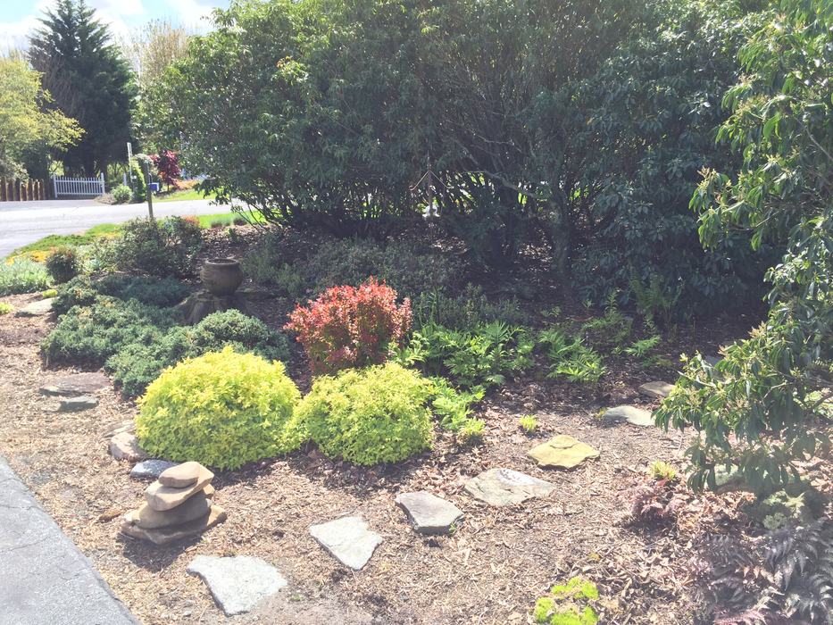 stone path through garden