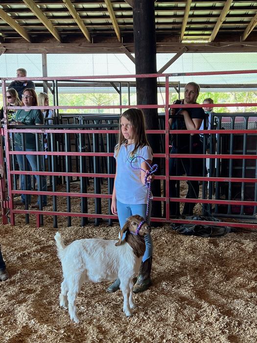 girl showing goat