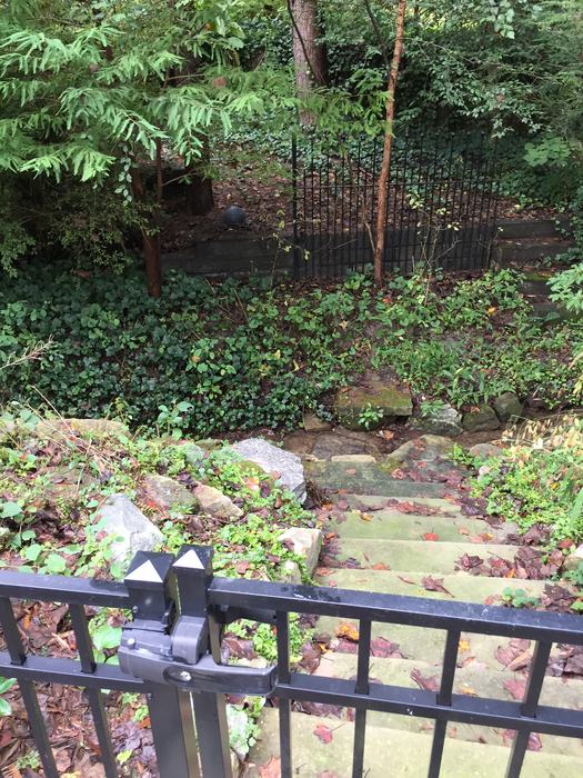 steps in garden path