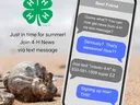 Image of a cell phone near the beach and an advertisement for signing up for text messaging. Information in image is in the body of the article