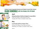 Learn about Food at your Library Flyer