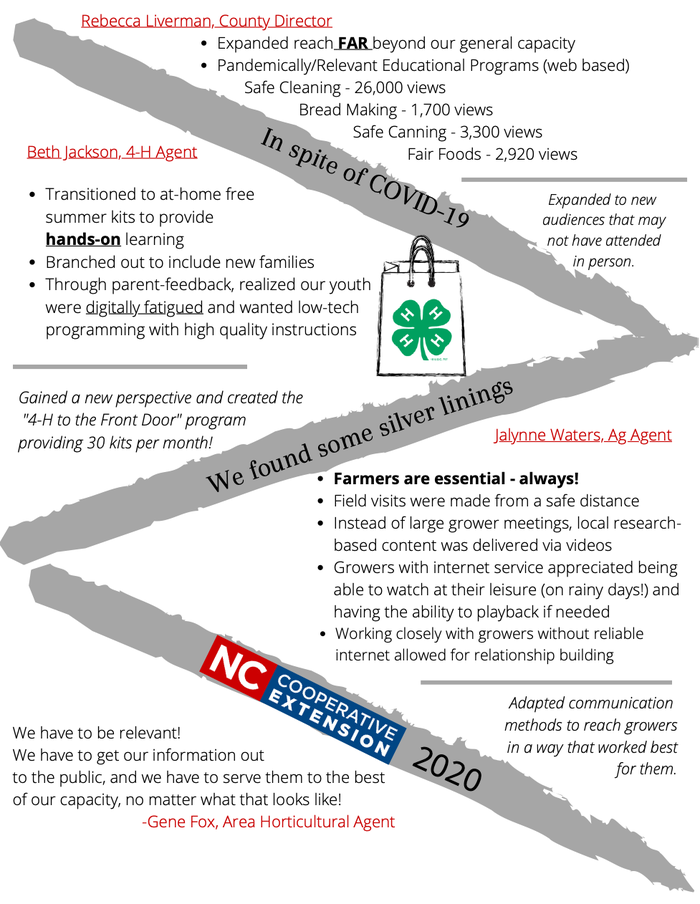 Report for 2020 on How the Agents have Contiued to Work in Spite of COVID-19