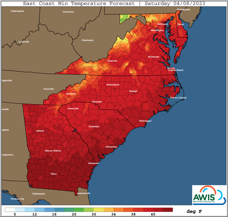 East Coast Min Temperature Forecast, Saturday 04/08/2023