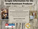 Scrapie flyer