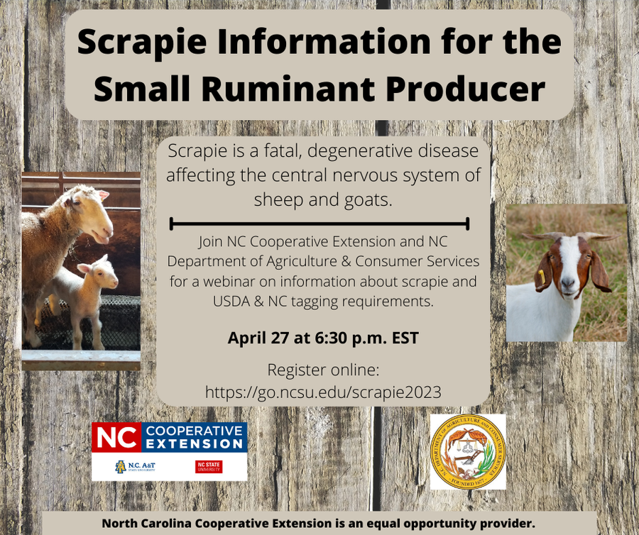 Scrapie flyer