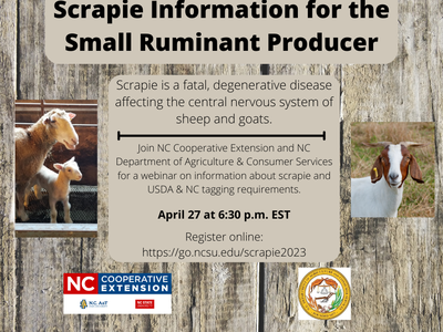 Scrapie webinar for sheep and goat producers; April 27, 6:30 p.m. EST; go.ncsu.edu/scrapie2023