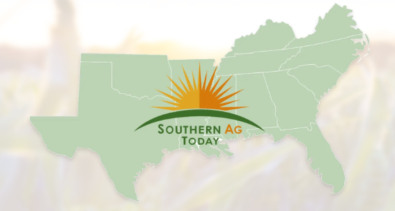 Map of southern US with a rising sun logo and text "Southern Ag Today" centered