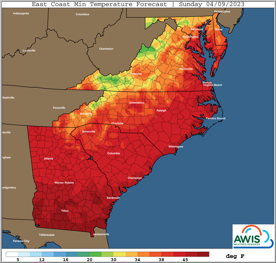 East Coast Min Temperature Forecast, Sunday 04/09/2023