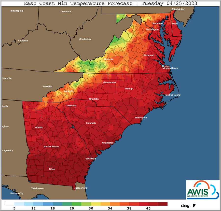 East Coast Min Temperature Forecast | Tuesday 04/25/2023