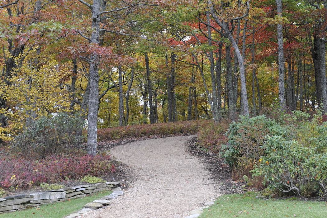 woodland path