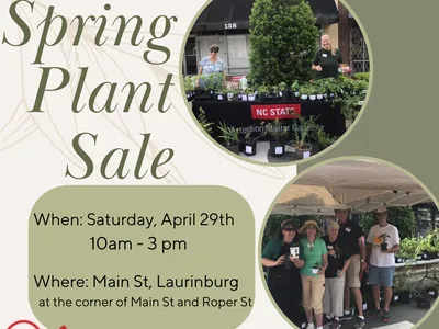Spring Plant Sale — NC STATE Extension Master Gardener; Apr 29, 10am–3pm; Main St, Laurinburg