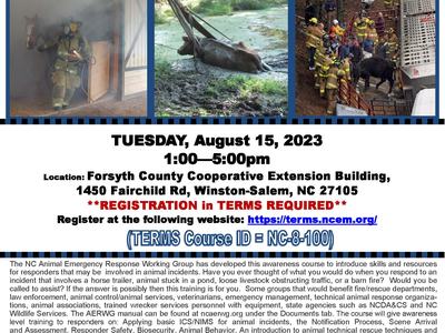 cow trapped in the mud