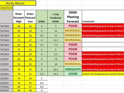Spreadsheet showing Rocky Mount planting forecast from 4/24/2023 with DD60 ratings and avoid-planting comments
