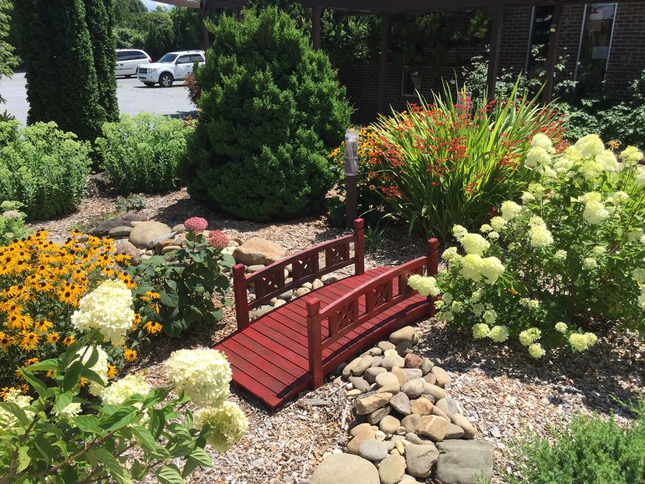 small bridge on path
