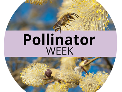 June 19-25, 2023 Pollinator Week