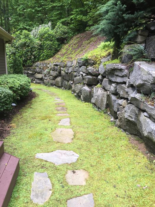 stone path and moss