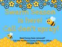 Swarm Season is here! Call don't spray flyer