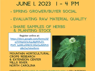 Flier for June 1, 2023 Herb Buyer-Grower event with picture of goldenseal