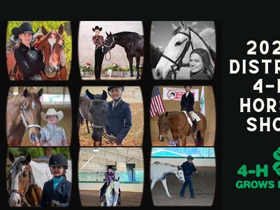 2023 District 4-H Horse Show