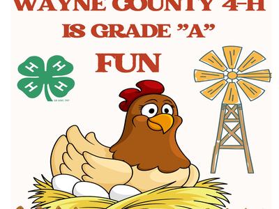 Wayne County 4-H is Grade "A" Fun — cartoon hen on nest with eggs, 4-H clover and windmill