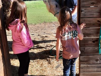 Two girls and an adult with a white horse at a barn doorway; shirt reads "4-H"