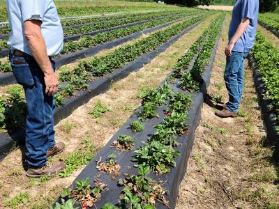 Jared Butler and Steve McNeill in the field