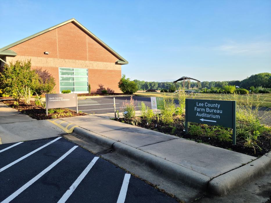 Non-standard parking lot planting