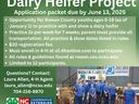 Rowan County 4-H Dairy Heifer Project; app due June 13, 2025; youth showing heifers