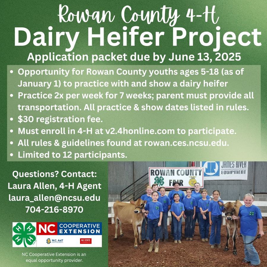 Rowan County 4-H Dairy Heifer Project; app due June 13, 2025; youth showing heifers